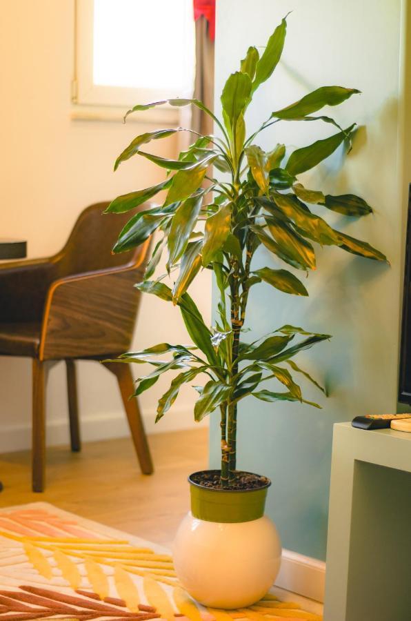 Bright Apartment Close To City Center Тирана Екстериор снимка